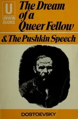 Cover of The Dream of a Queer Fellow and The Pushkin speech