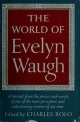 Cover of The world of Evelyn Waugh