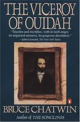 Cover of The Viceroy of Ouidah