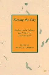 Cover of Fleeing the city