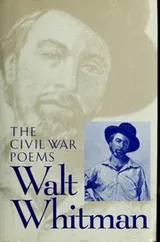 Cover of Civil War Poems of Walt Whitman