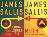 Cover of The Long-Legged Fly