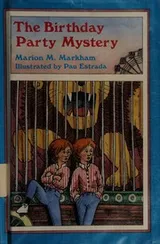 Cover of The birthday party mystery