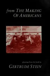 Cover of From The making of Americans