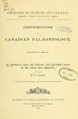 Cover of On vertebrata from the Tertiary and Cretaceous rocks of the North West Territory