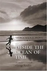 Cover of Beside the Ocean of Time