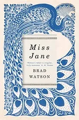 Cover of Miss Jane