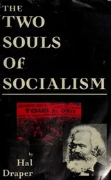 Cover of The two souls of socialism