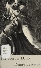 Cover of The sorrow dance