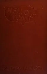 Cover of Hello towns!
