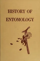 Cover of History of entomology