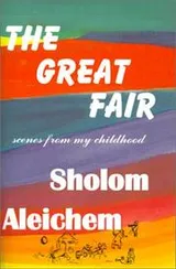 Cover of The great fair