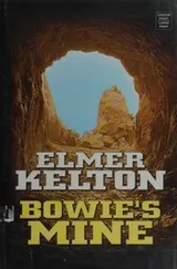 Cover of Bowie's mine