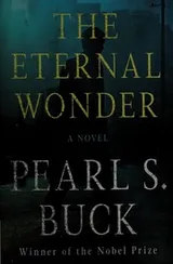 Cover of The eternal wonder