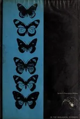 Cover of The process of evolution