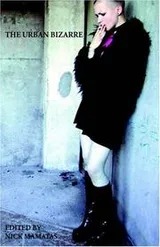 Cover of The Urban Bizarre