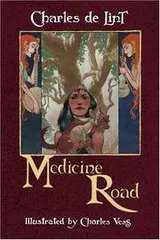 Cover of Medicine Road