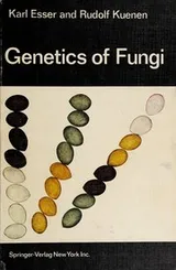 Cover of Genetics of fungi