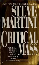 Cover of Critical Mass
