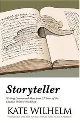 Cover of Storyteller
