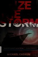 Cover of Seize the storm
