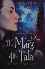 Cover of The twelve kingdoms