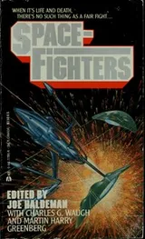 Cover of Spacefighters
