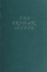 Cover of The orphan angel