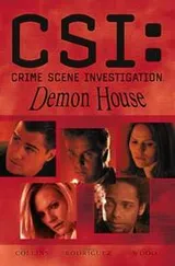 Cover of Demon House (CSI: Crime Scene Investigation) (CSI: Crime Scene Investigation)