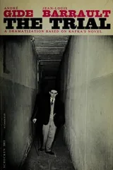 Cover of The trial