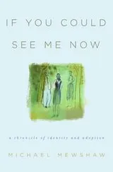 Cover of If you could see me now