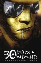 Cover of 30 Days Of Night: Bloodsucker Tales Volume 1