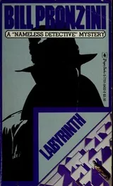 Cover of Labyrinth (Nameless Detective Mystery)