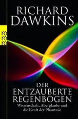 Cover of Der entzauberte Regenbogen