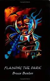 Cover of Flashing the Dark
