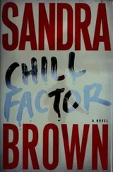 Cover of Chill factor