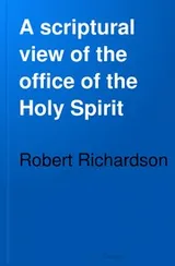 Cover of A scriptural view of the office of the Holy Spirit