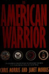 Cover of The American warrior