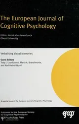 Cover of Verbalising visual memories