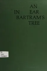 Cover of An ear in Bartram's tree