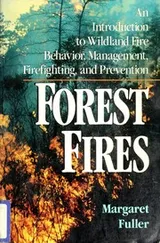 Cover of Forest fires