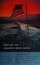 Cover of USA noir