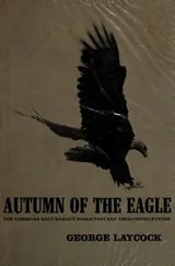Cover of Autumn of the eagle