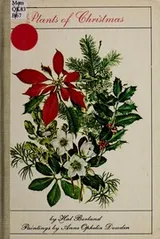 Cover of Plants of Christmas