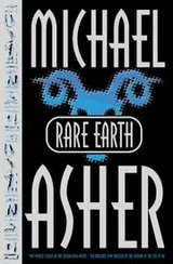 Cover of Rare Earth