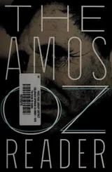 Cover of The Amos Oz reader