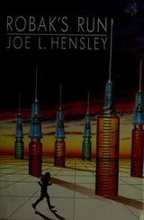 Cover of Robak's run