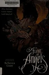 Cover of A Flight of Angels