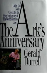 Cover of The ark's anniversary