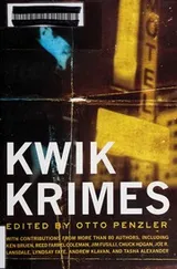 Cover of Kwik krimes